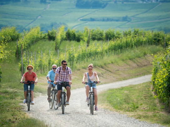 Family holidays in Langhe region, Piedmont, Italy: Electric bikes trip in the hills
